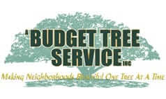 newA-BUDGET-TREE-SERVICE-logo