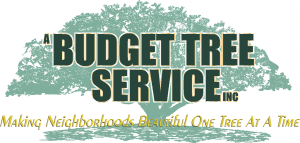 A Budget tree logo-no number