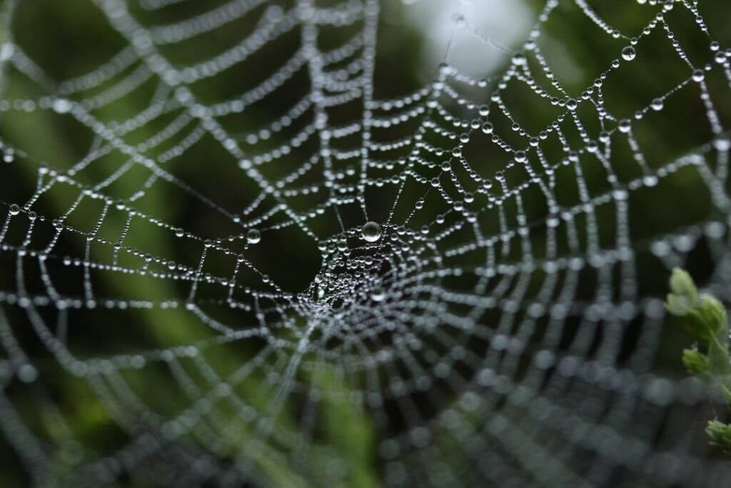 img-michael-podger-jpgRztEuaV4-unsplash img-michael-podger-jpgRztEuaV4-unsplash