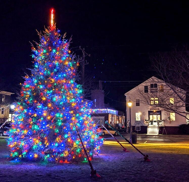 perfect christmas tree lit up