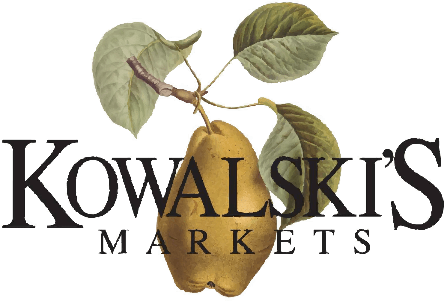 kowalski's logo - transparent background