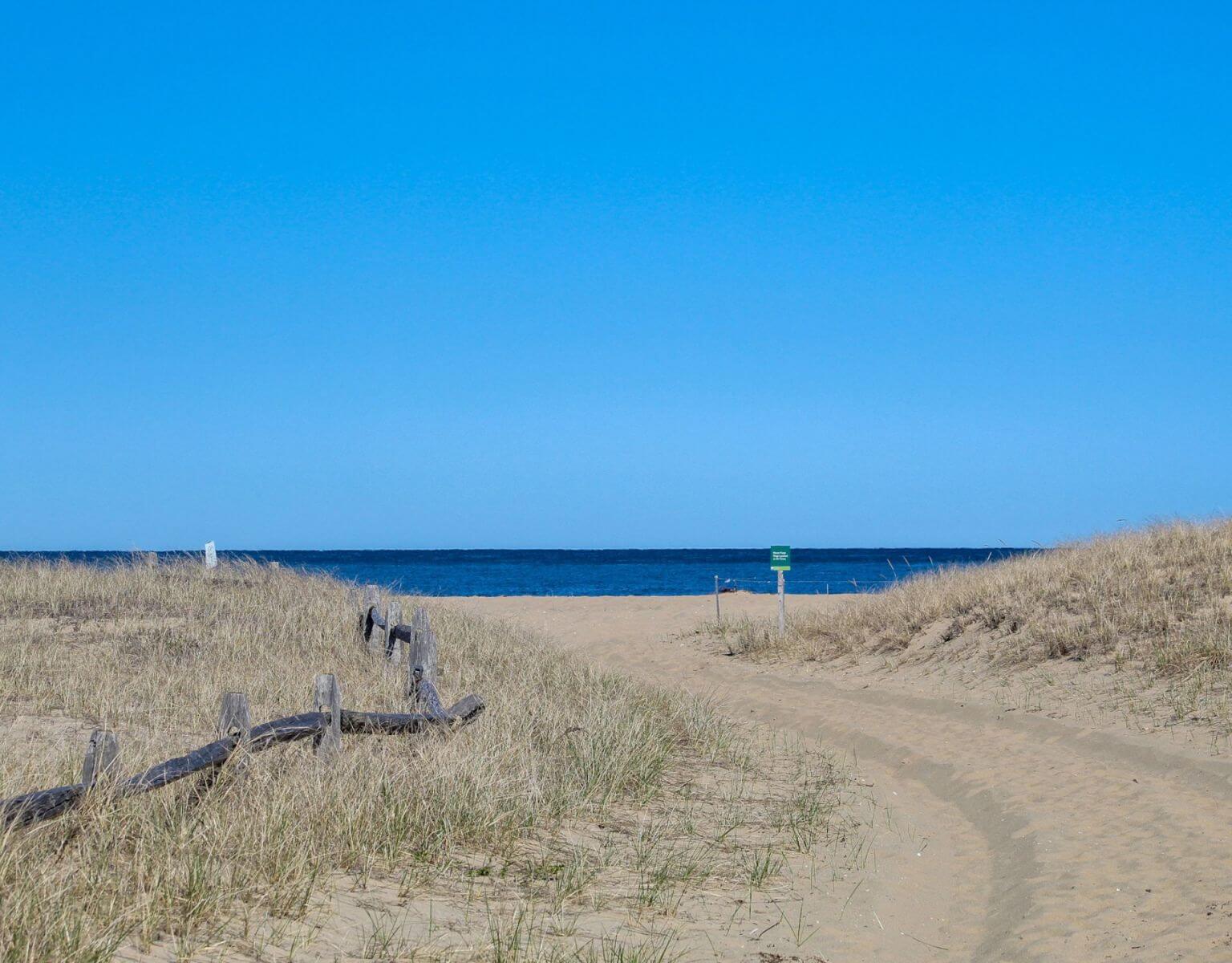Beaches of Martha's Vineyard