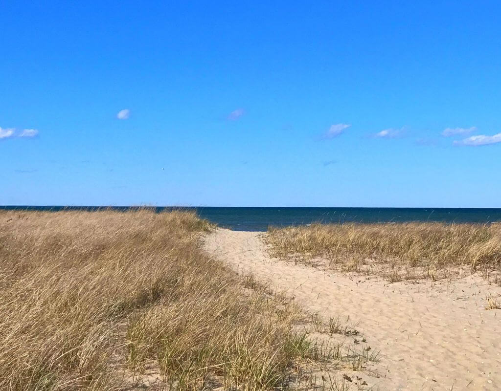 Beaches of Martha's Vineyard