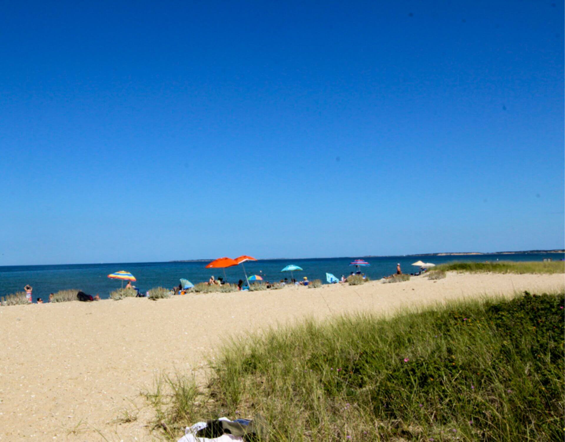 oakbluffs-beaches1