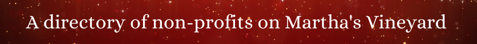 mvy-non-proft-banner_orig