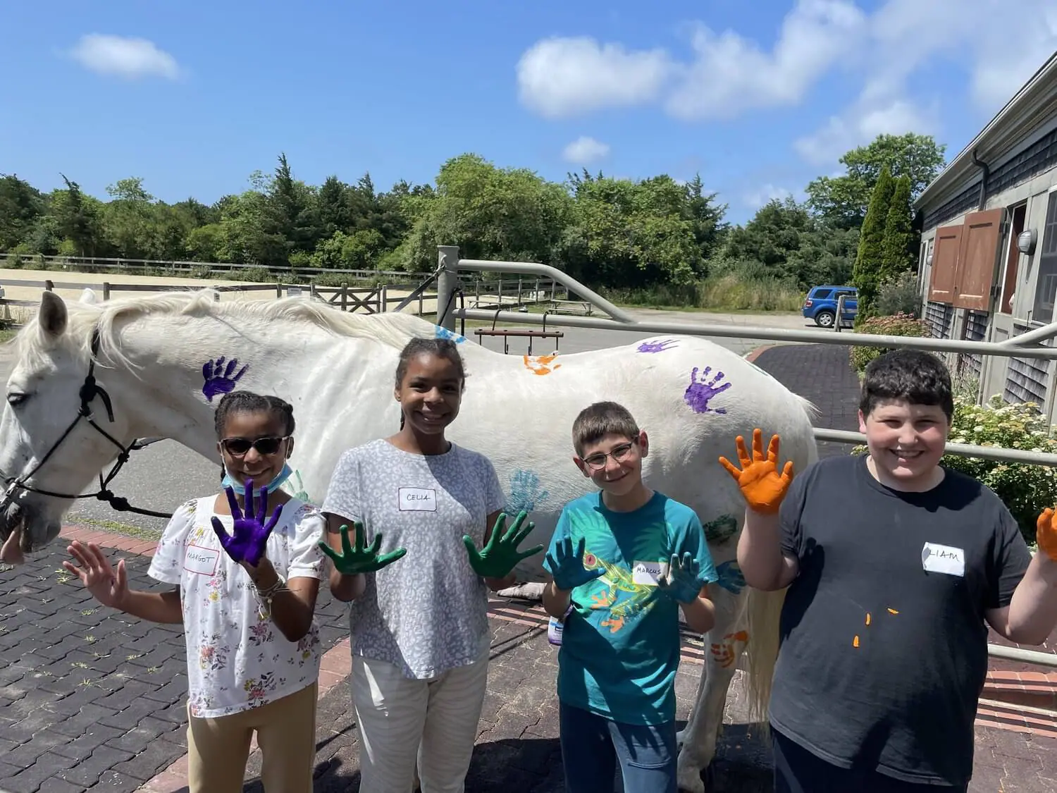 April Vacation Activities on Martha's Vineyard - Martha's Vineyard - Plan  Your Visit Today