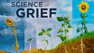 science of grief