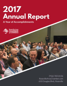 2017-Annual-Report-Cover-232x300