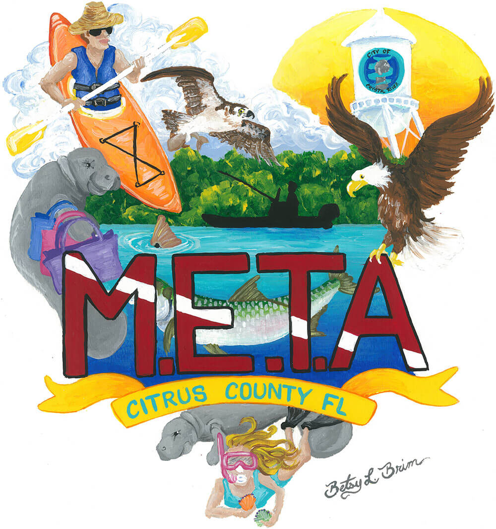 Meta Dive logo