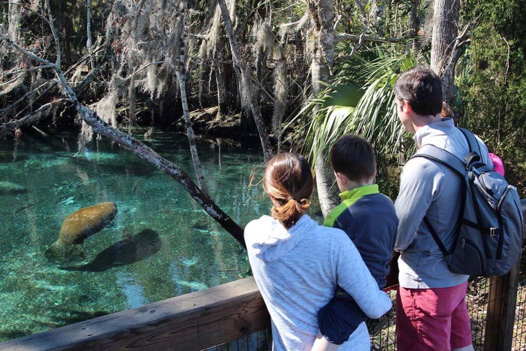 Three Sisters Springs