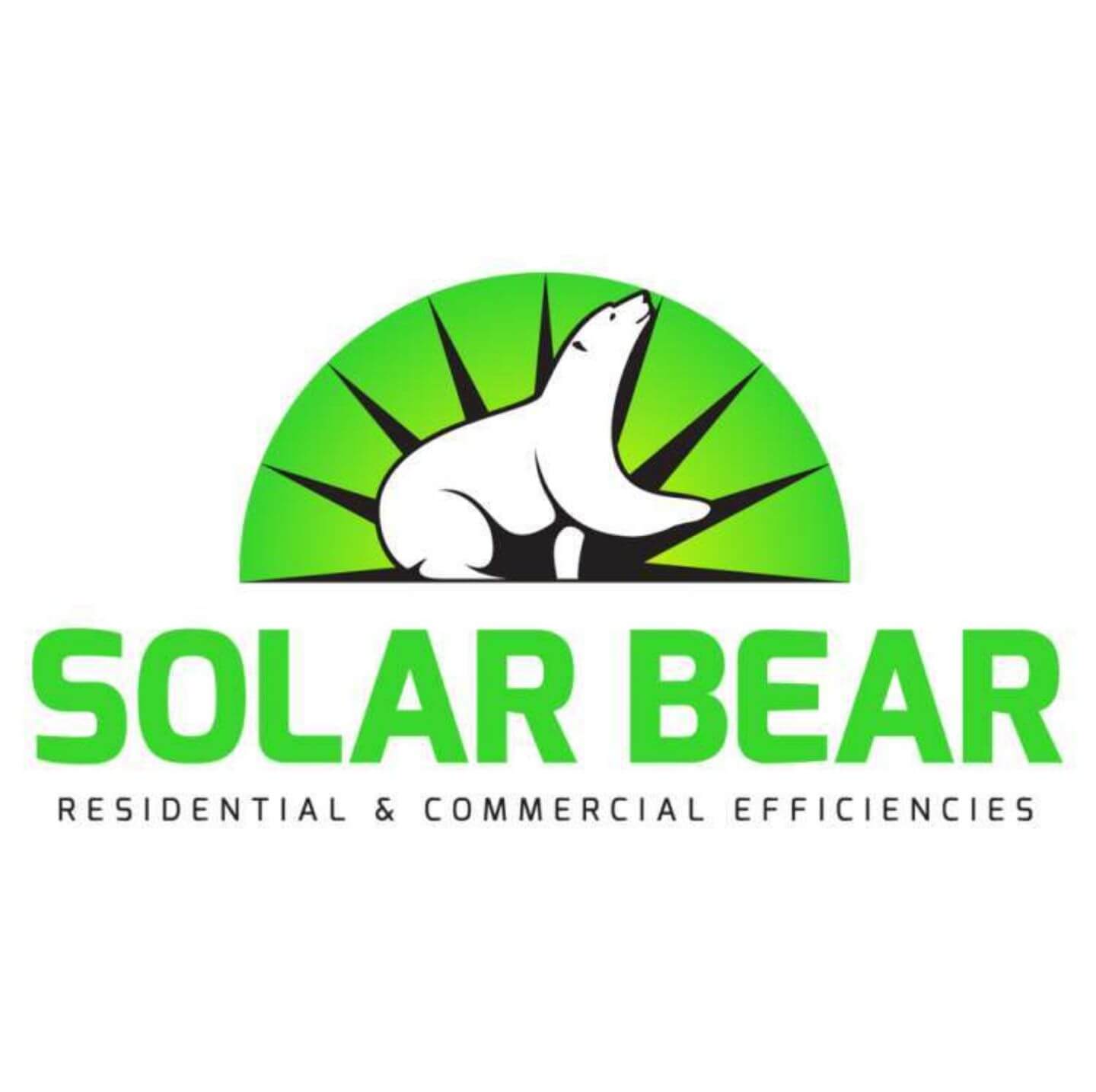Solar Bear