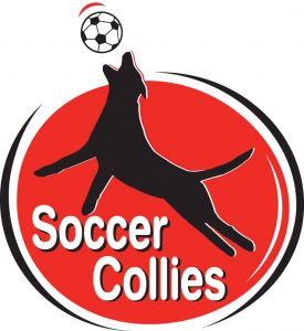 Soccer Collies