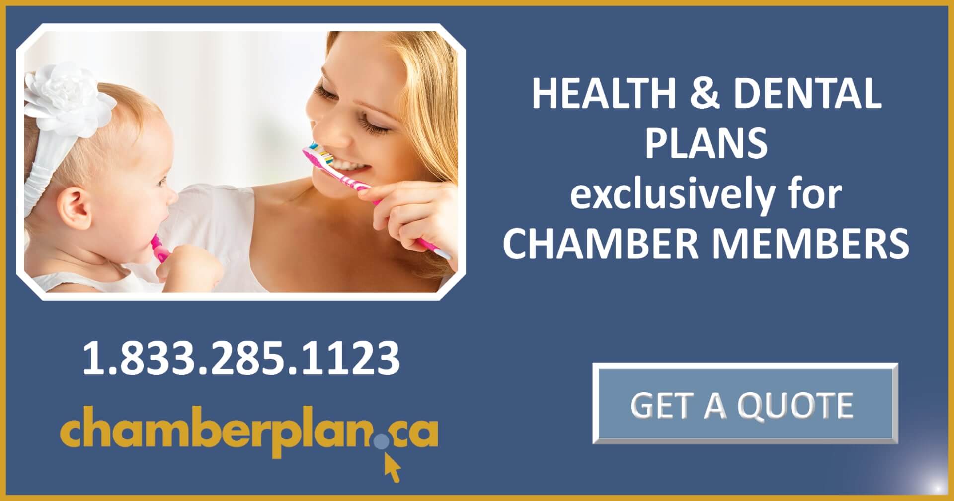 Health & Dental plans for chamber member