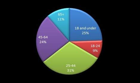 Population by Age pie chart