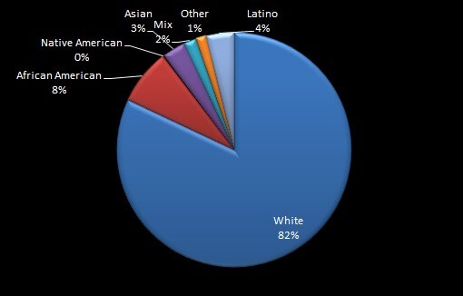 Population by Ethnicity pie chart