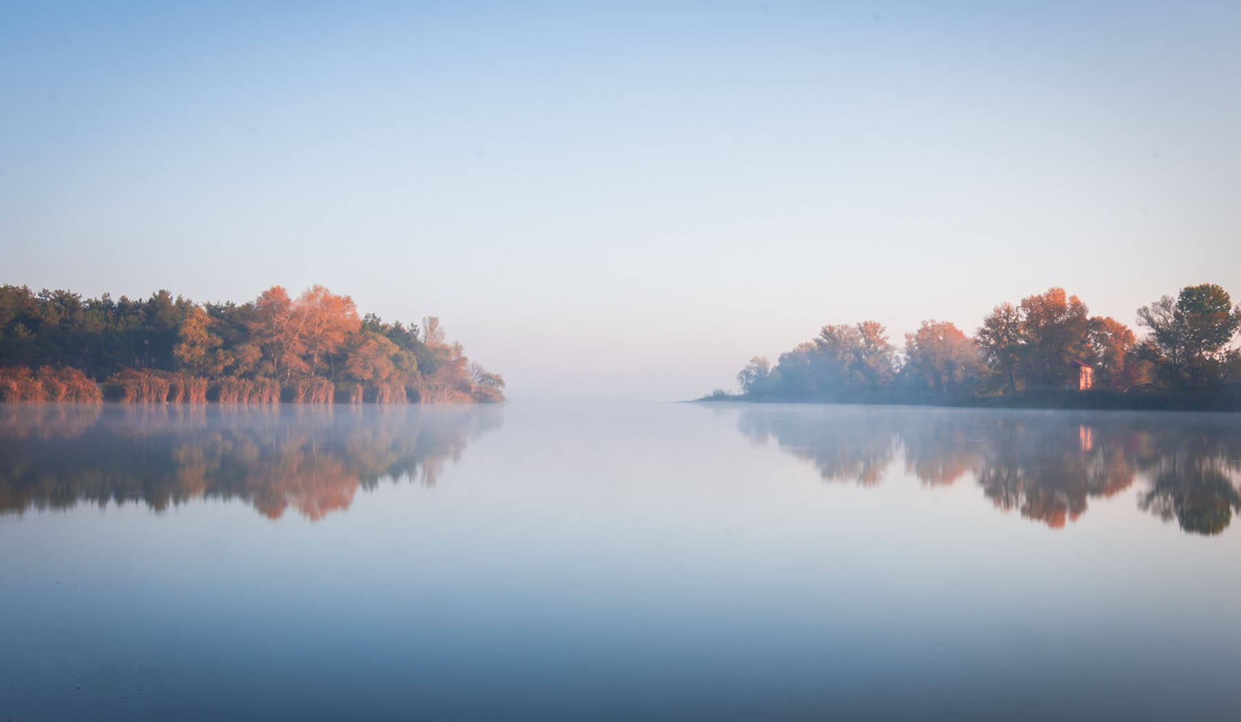 foggy lake and trees