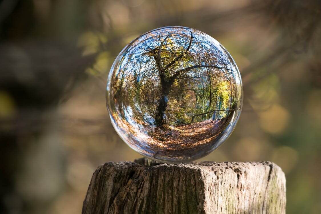 tree in a reflective orb