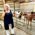 woman standing in front of 2 baby horses