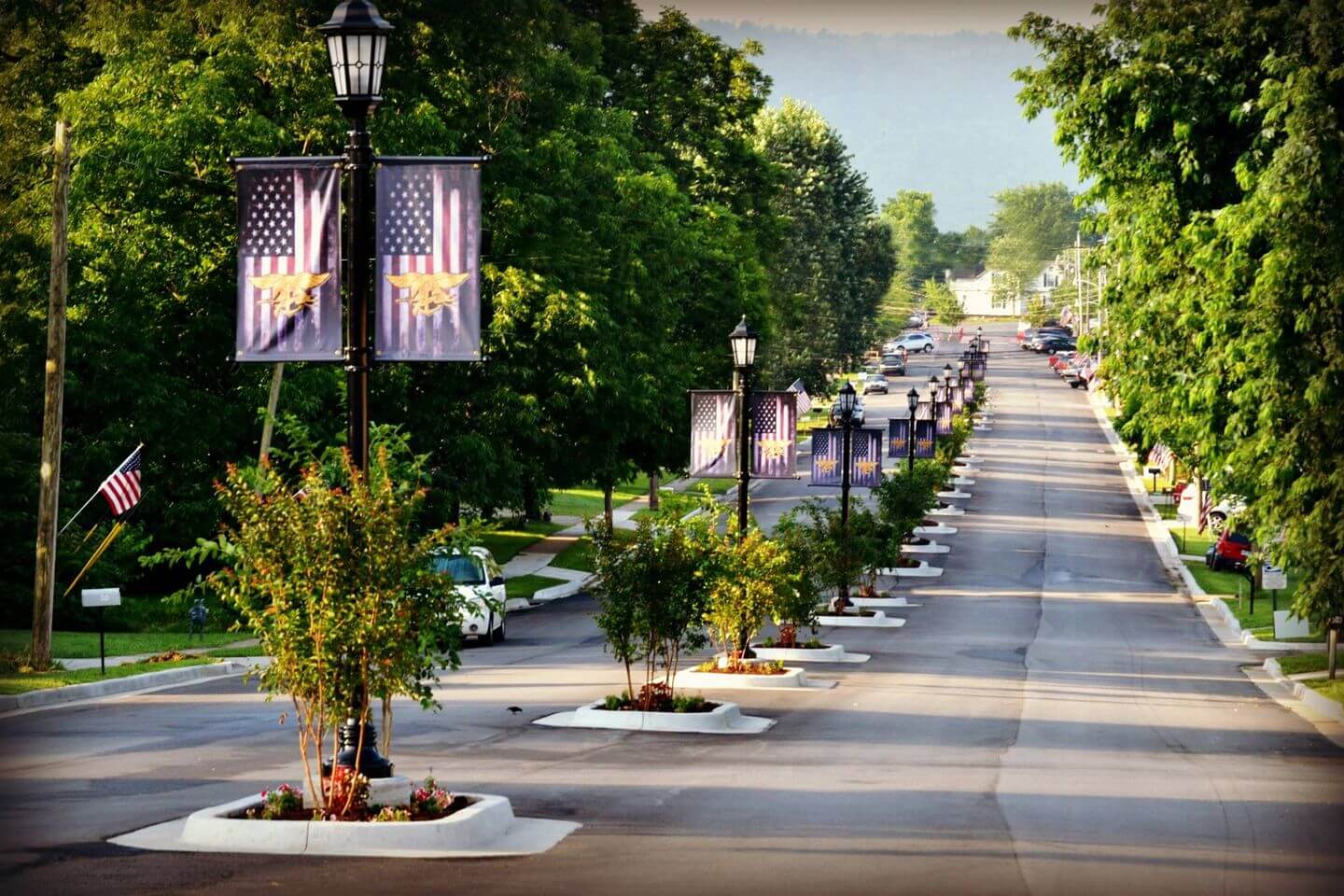 Grey Forest Street with Flags