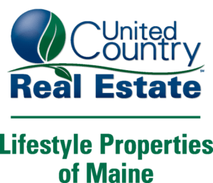 picture1-(002)-new-lifetyle-properties-logo