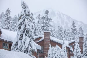 Snow-covered trees and condos in the foreground and a cloudy Lincoln Mountain in the background