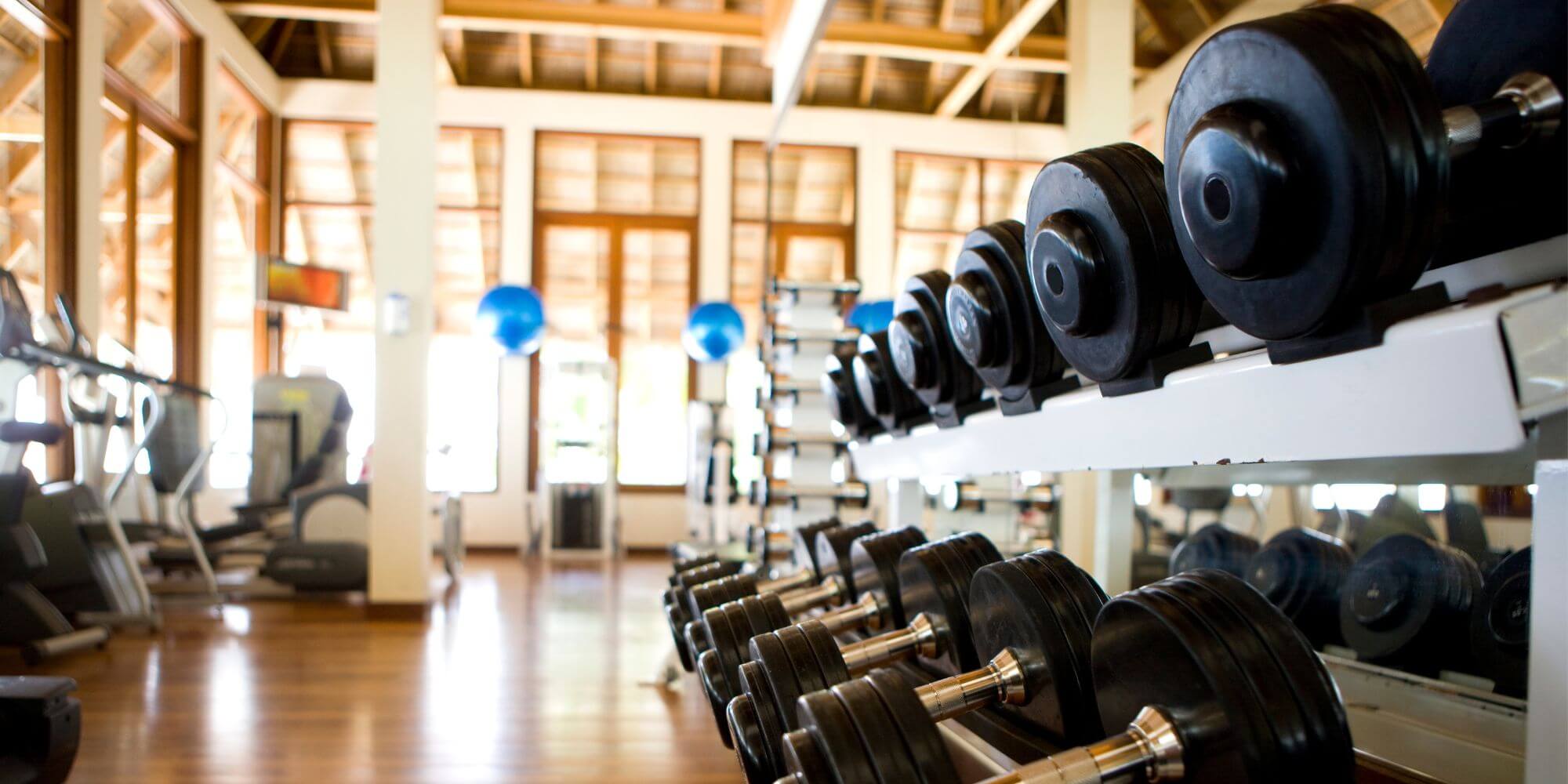 A gym with large dumbbells on a rack in the foreground and machines in the background