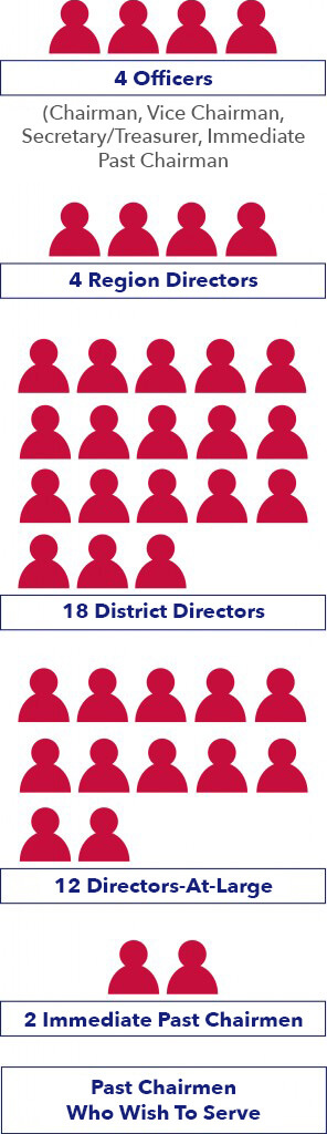 Board of Directors Infographic