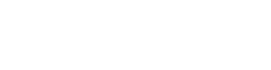Whidbey SeaTac Shuttle & Charter