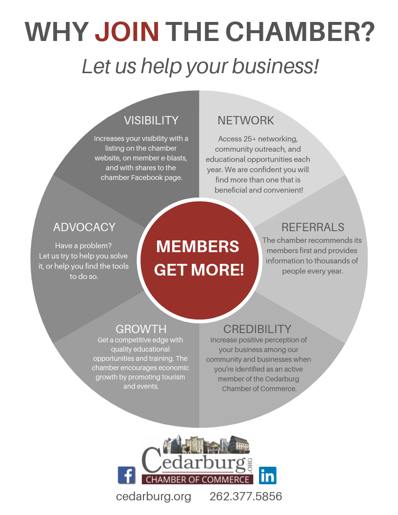 WHY JOIN THE CHAMBER graphic