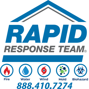 Rapid Response 2022