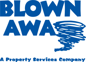 Blown Away 2020-transparent Blown Away 2020-transparent