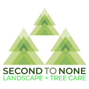 Second to None Landscape - 2023