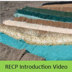 RECP Intro button
