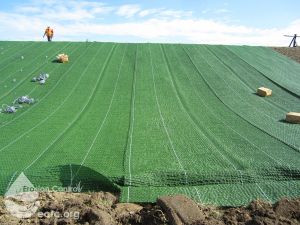 High Performance TRM Levee - Toe of Slope view