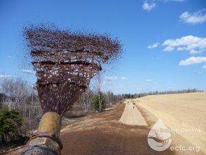 Biotic Soil Amendment Application