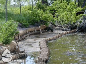 Coir Logs for Shoreline Stabilization