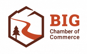 BIG chamber logo