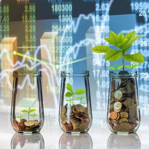 plants growing in money jars