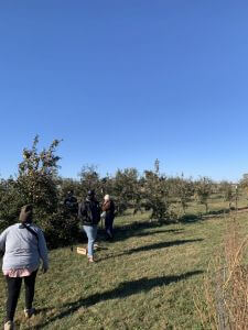 people walking in an orchard