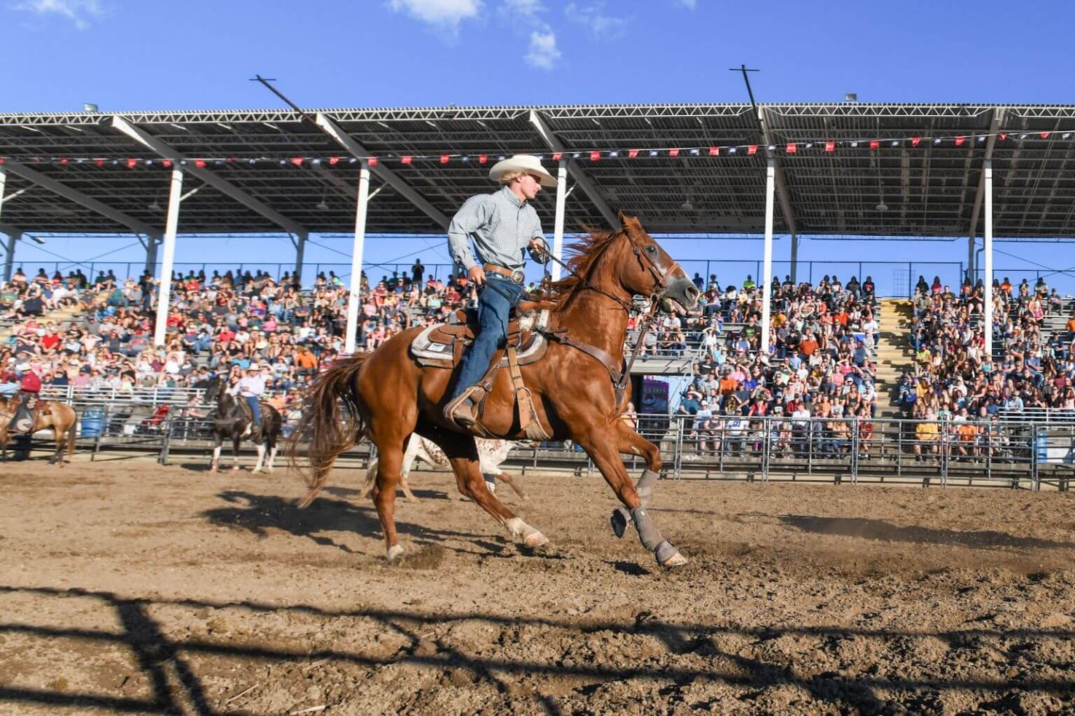 Monroe County Fair 2024 Dates Aidan Zorine