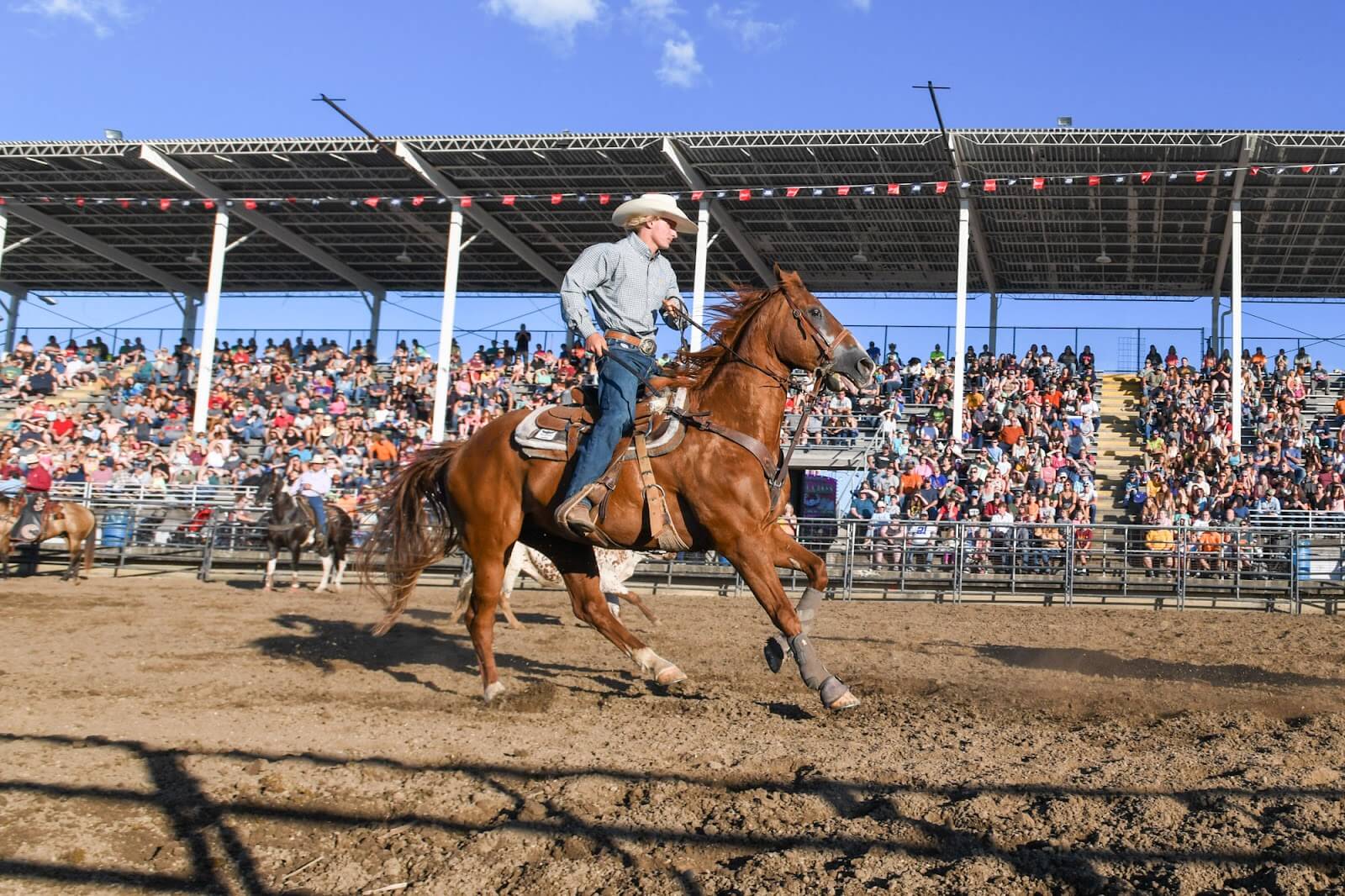 Monroe County Fair is an annual event in Tomah