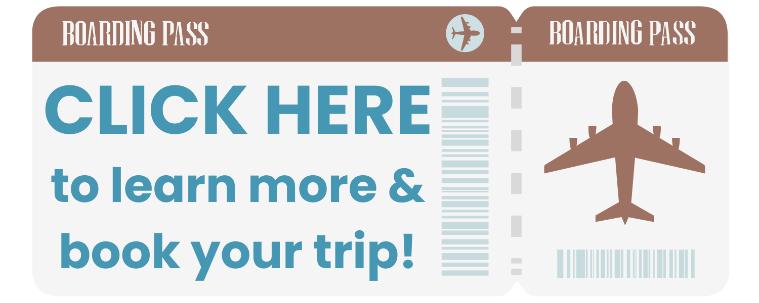 Ticket- Book your trip blue