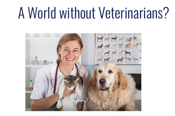 A World without Veterinarians?