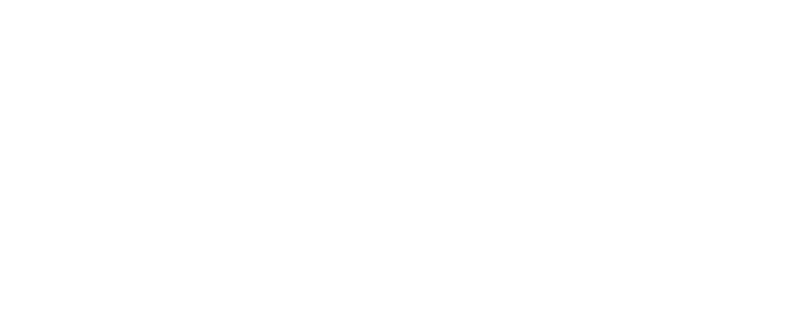 USSD logo