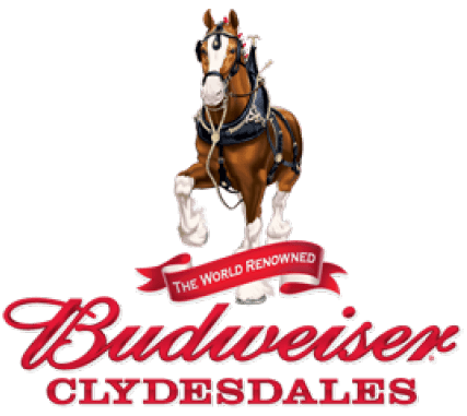 bud-clydesdales