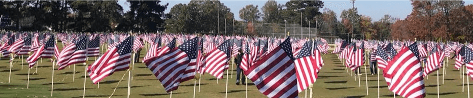 american flags in rows outside