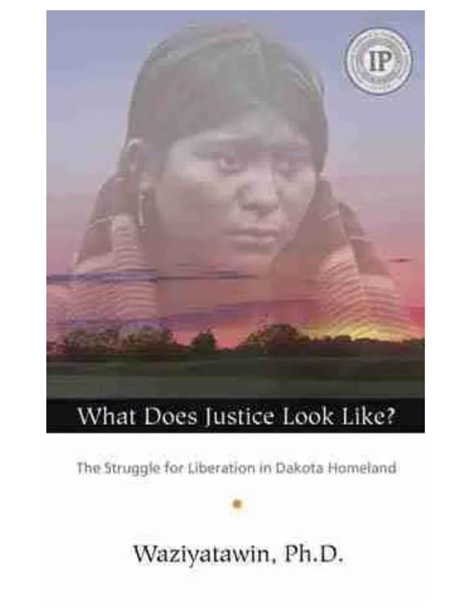 what does justice look like book cover