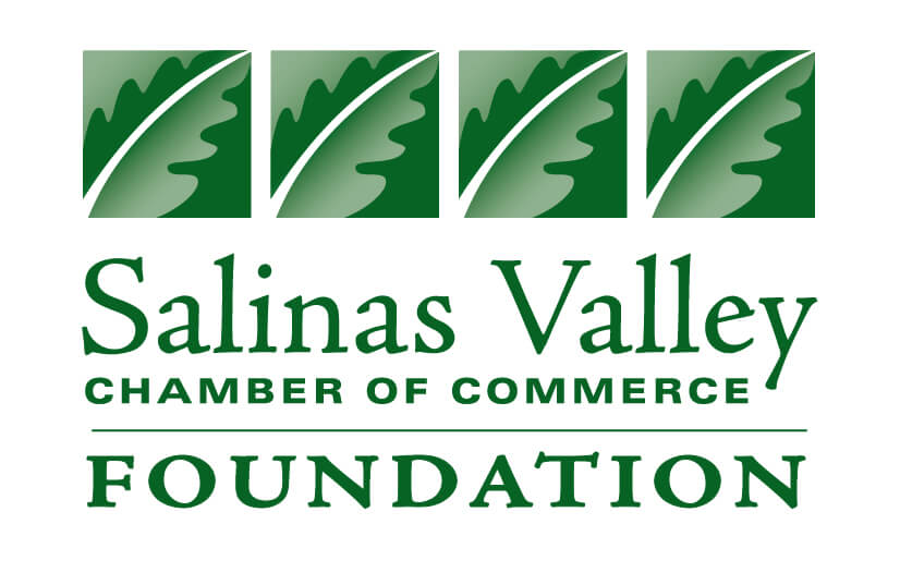 SVChamber Foundation Logo