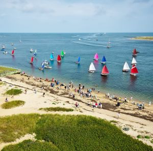 beach with people and sail boats