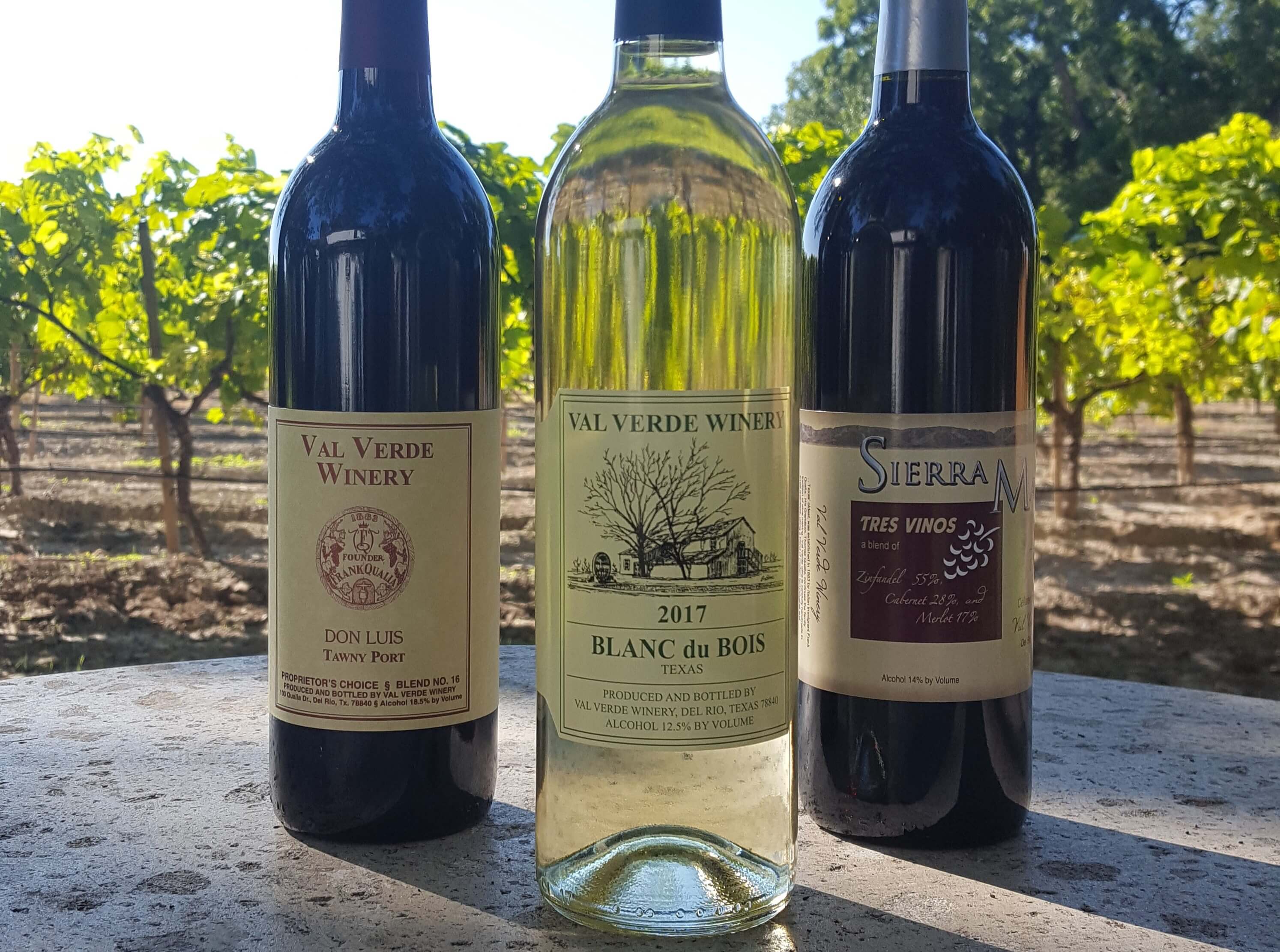 Wine Bottles at Val Verde Winery